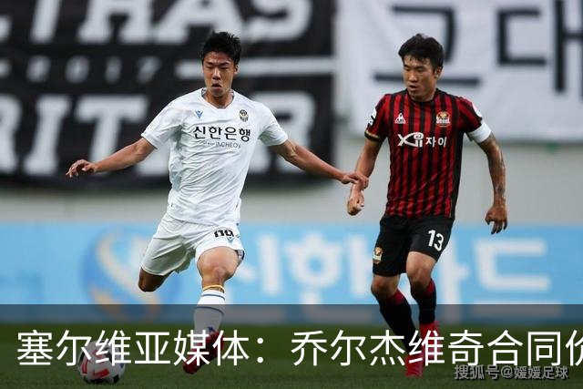 塞尔维亚媒体：乔尔杰维奇合同价值100万美元