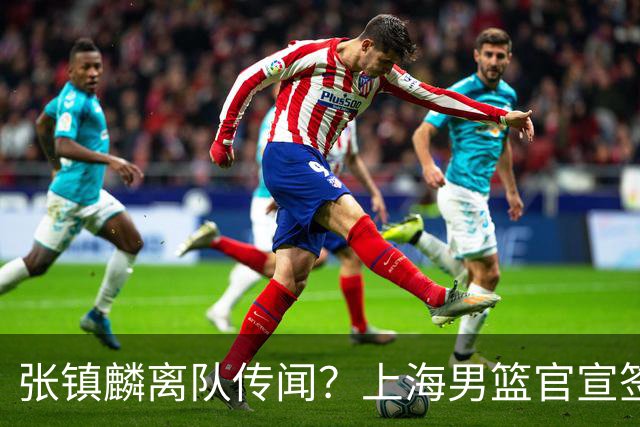 张镇麟离队传闻？上海男篮官宣签约三人，顶薪合同与未来规划